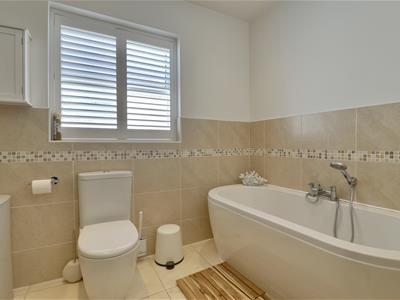 Picture 16